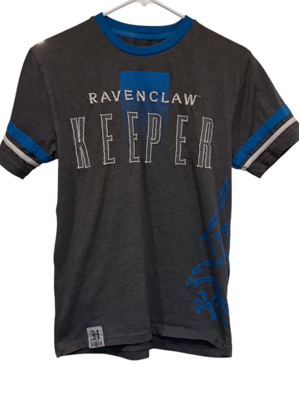 Universal Studios Ravenclaw Keeper Hogwarts Quidditch